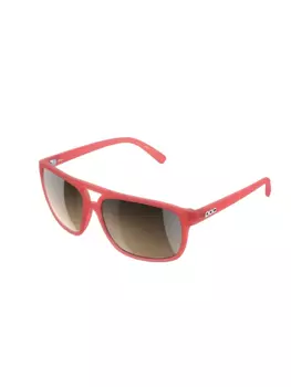 Sunglasses POC WILL Ammolite Coral Translucent - Brwon/Silver Mirror - 2023/24