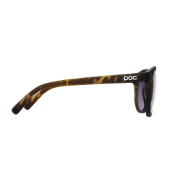 Sunglasses POC Know Tortoise Brown - 2023/24