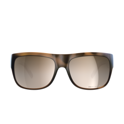 Sunglasses POC Want Tortoise Brown - 2023/24