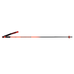 Ski poles Rossignol Hero Carbon - 2025/26