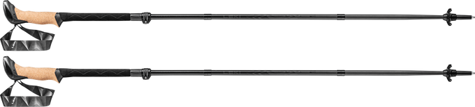 LEKI Black Series FX Carbon