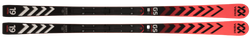 Skis Volkl Racetiger GS R JR - 2023/24