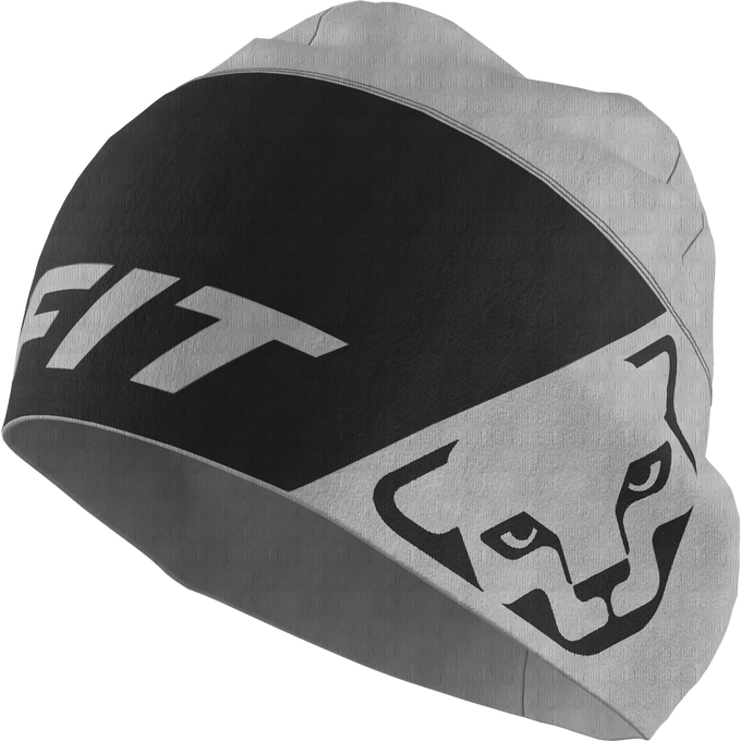 Hat Dynafit Upcycled Speed Polartec Beanie Quiet Shade - 2025/26