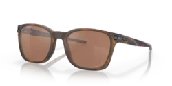 Matte Brown Tortoise || Prizm Tungsten