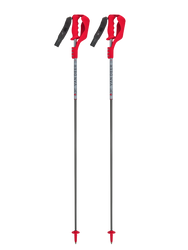 Skistöcke Van Deer Race SL Carbon - 2025/26