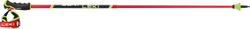 Skistöcke LEKI Venom GS 3D Red - 2025/26