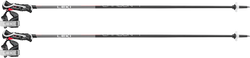 Skistöcke LEKI Carbon 14 3D - 2025/26