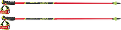 Skistöcke LEKI Venom GS 3D Red - 2025/26